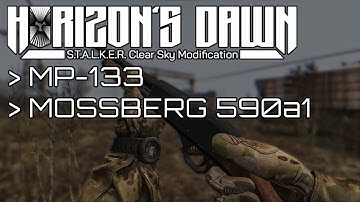 MP-133 and Mossberg590a1 Animations | Horizon