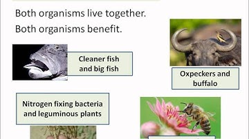 OCR Gateway B2d Parasites and Mutualism