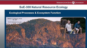 Ecological Processes & Ecosystem Function