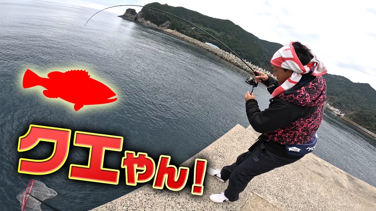 エギ竿でまさかの高級魚クエが釣れた‼ - YouTube