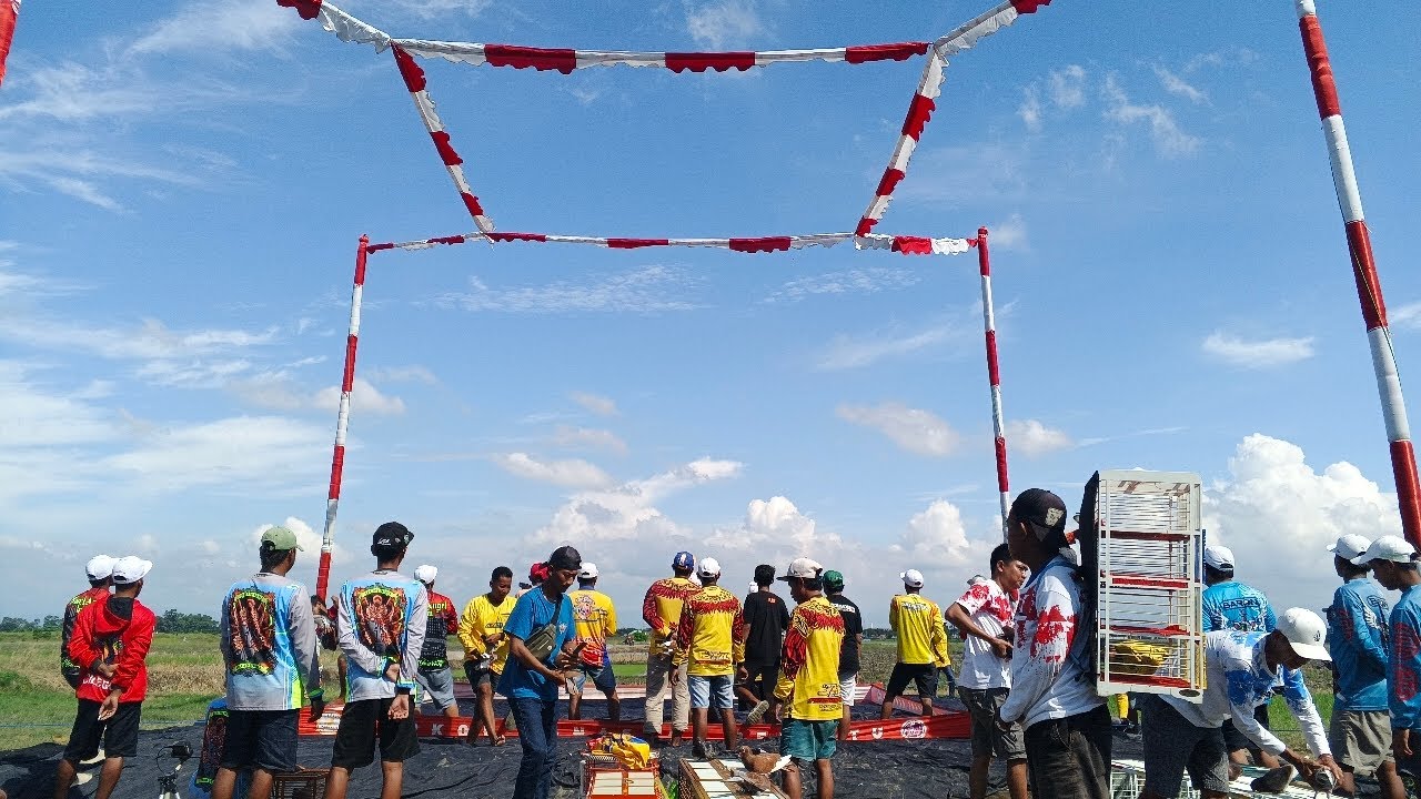 #BOB TIKET 2 JT & LOMBA RING, SABTU LAPAK DANASARI IVEN KEL CUP 1 TOTALAN 200 JT #P3MKBI