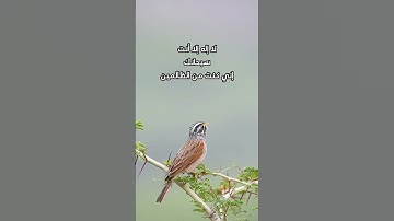 تلاوة خاشعة جميلة للسور قصيرة( قل يا أيها الكافرون)طبيعة وطيور