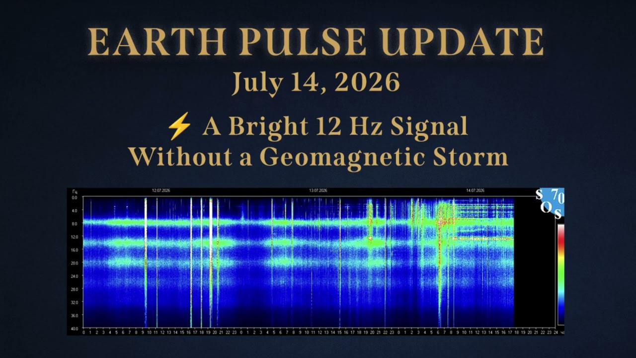 Earth's 12 Hz Schumann Resonance Persistence During Quiet Geomagnetic Conditions