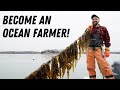 How to Start An Ocean Farm (Step-by-Step)