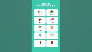 Learn the common opposite words in English with pictures | Part 3