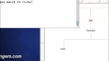 Using CD(Change Directory) command in Linux