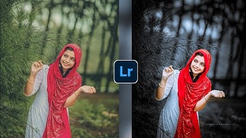 Black and silver tone Lightroom photo editing// preset download free//