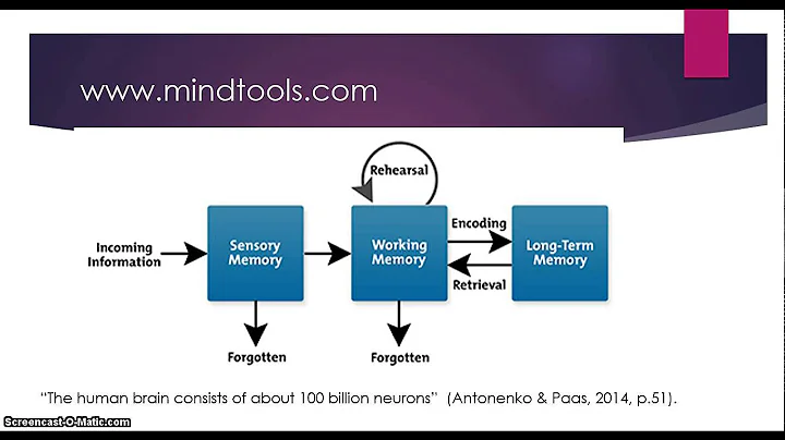 DB3 Cognitive load theory