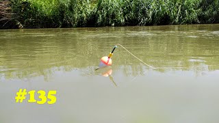 Float Fishing with Milk Corn || Carp Fishing with Float || Mullet Hunting in the River