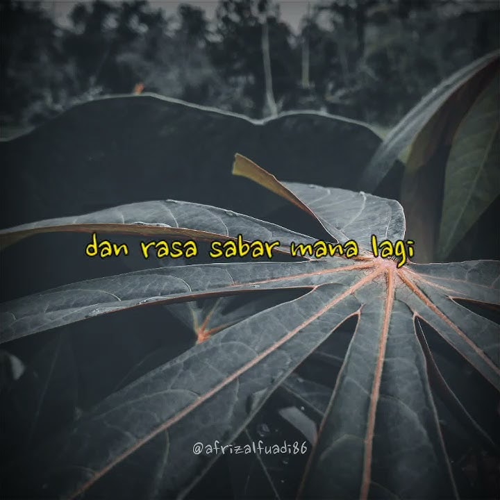 Woro Widowati - Menepi (story wa)