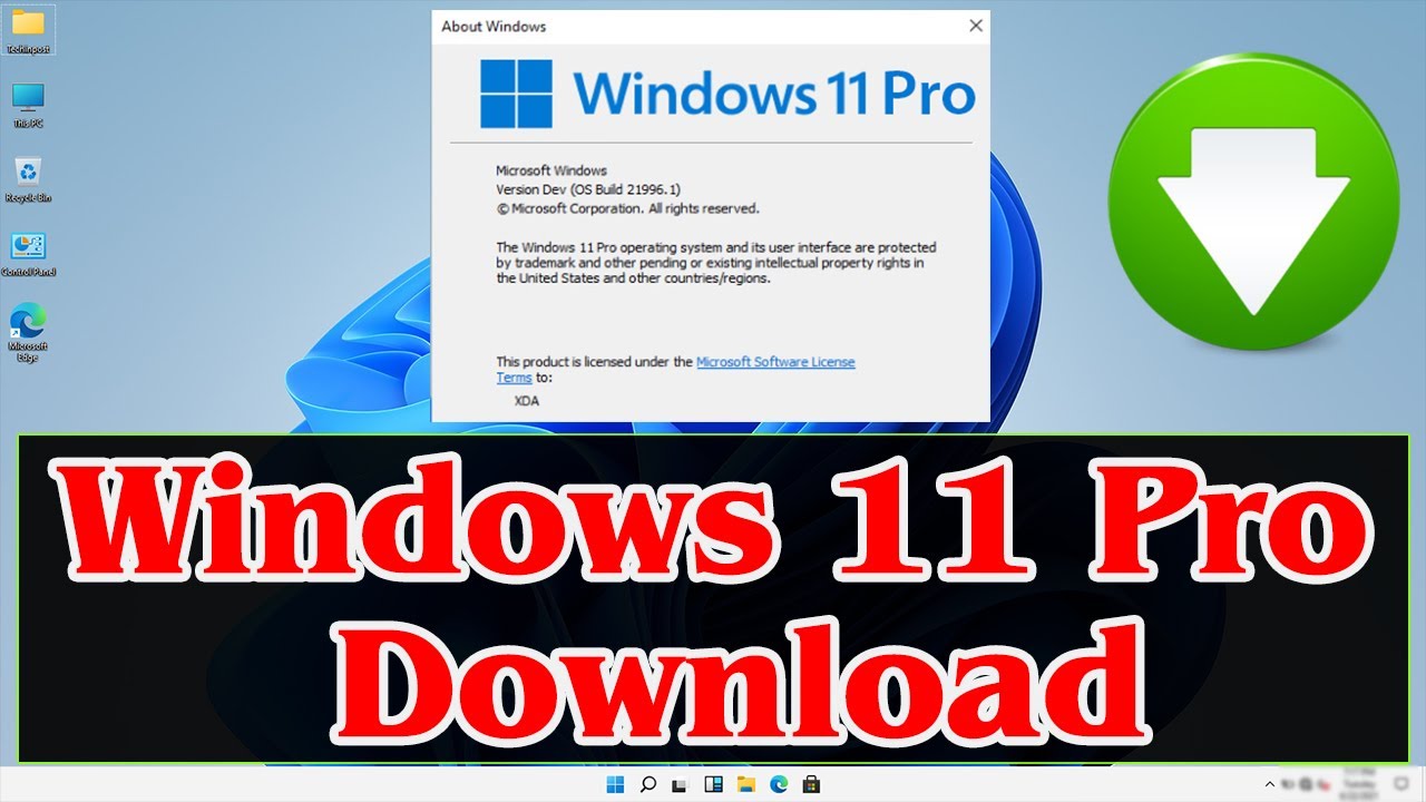 windows 11 pro download