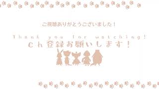 将来の夢がVTuberの小学生よ、悪いことは言わないから半年ROMっとけ。。。【雑談配信】