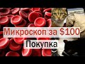 Купил микроскоп за $100 Впечатления и трудности