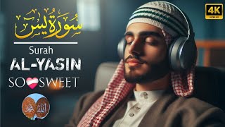 Heart Touching Tilawat Quran Majeed of Surah yasin With Beautiful Voice