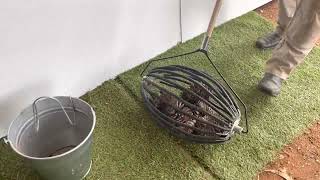 Nut Roller (Pine Cones) - Nut Solutions Australia