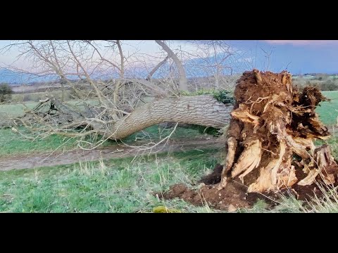 Storm Eunice damage, installing estate fencing & what you need to know about solar panels on barns