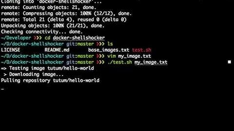 Checking for Shellshock in a Docker Image