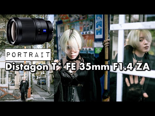 初めての単焦点レンズなら35mmで良くない？！ Distagon T* FE 35mm F1