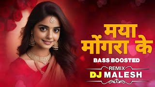 Mongra Ke Maya Raja Re !! Bass Boosted !! Cg Song _ DJ NAGESH RJN