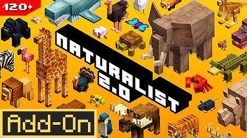 Naturalist Add-On 2.1 Review | Minecraft Marketplace