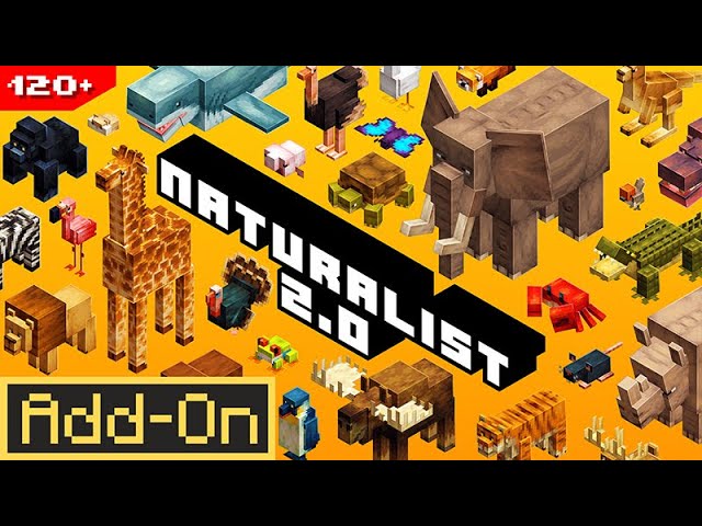 Naturalist Add-On 2.1 Review | Minecraft Marketplace - YouTube