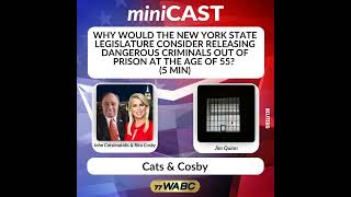 Jim Quinn: Why Would the New York State Legislature Consider Releasing Dangerous Criminals Out of...