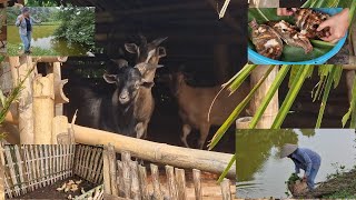 Raising goats and ducks, fishing for grilling