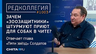 Зачем «зоозащитники» штурмуют приют для собак в Чите? Отвечает глава «Пяти звёзд» Солдатов