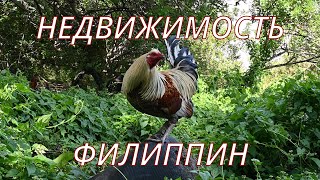 видео: Хочу купить недвижимость на Филиппинах? Вы хорошо подумали!? Сначала посмотри это ВИДЕО!!! Думагете картинка: Хочу купить недвижимость на Филиппинах? Вы хорошо подумали!? Сначала посмотри это ВИДЕО!!! Думагете