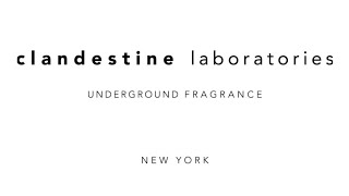 Clandestine Laboratories First Impression & Unboxing! Getting to know CLs work before our Interview!