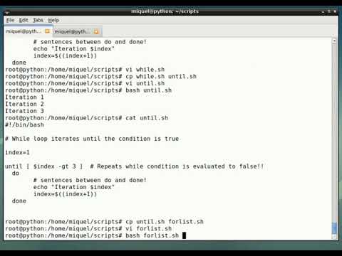How to use iterative sentences in bash