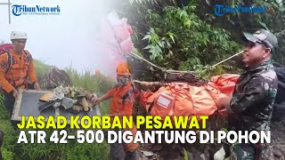 ALASAN JASAD KORBAN PESAWAT ATR 42-500 DIGANTUNG DI POHON OLEH TIM SAR