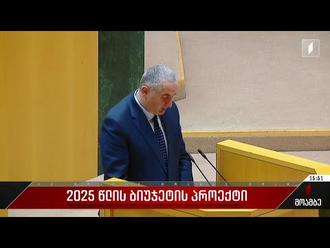 2025 წლის ბიუჯეტის პროექტი