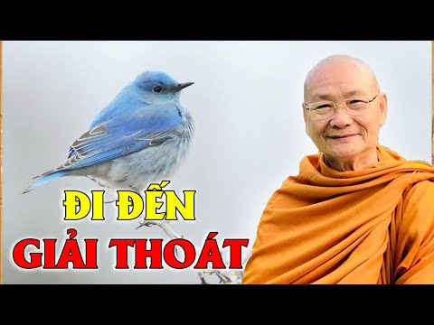 Video: Làm Thế Nào để đi đến Một Dòng Mới