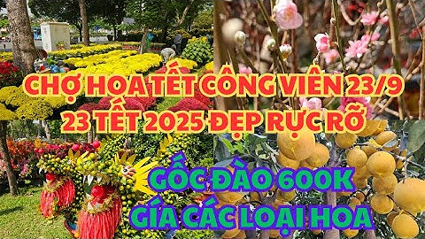 CHỢ HOA TẾT CÔNG VIÊN 23/9, 23 TẾT 2025: ĐẸP RỰC RỠ, GỐC HOA ĐÀO CHỈ 600K, GIÁ CÁC LOẠI HOA, SÀI GÒN