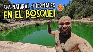 Los Azufres AGUAS TERMALES  en medio del Bosque