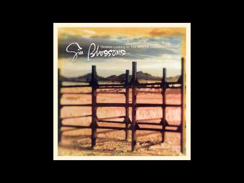 Gin Blossoms, "Pieces Of The Night"