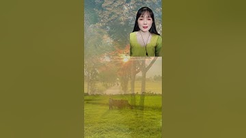 Cần Giuộc tôi yêu,🥰#karaoke #cầngiuoojclongan