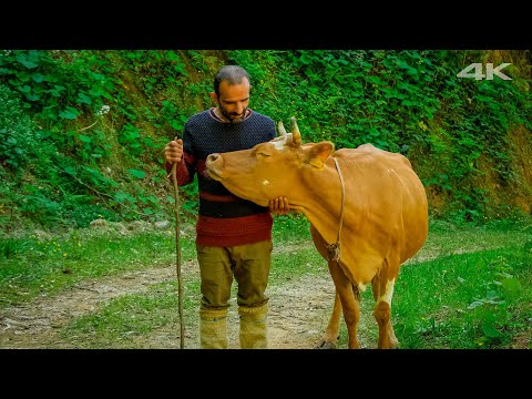 Doğanın Kıyısındaki Yaşam - Çepni Ailesi | Belgesel ▫️4K▫️