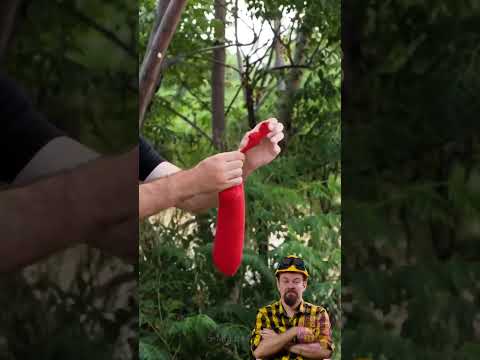 ردة فعل بوتش على حيل سيارات ستكون مفيدة لكل سائق