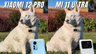 Xiaomi 12 Pro vs Mi 11 Ultra Camera Comparison