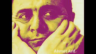 Ahmet Arif 33 Kursun Resimi