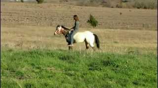 Denali Bounce - riding outside bareback - Valley View Ranch