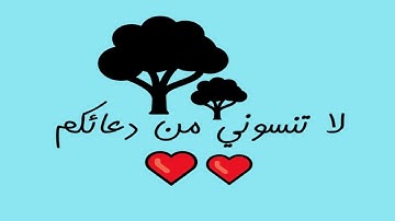 ماتيسر من سورة البقرة 2 محمد عبدالوهاب الطنطاوي نوع المصحف مجود الرواية حفص عن عاصم