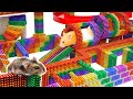 Build A 3 Level Maze Challenging For Hamster To Overcome With Magnetic Balls 