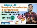 Hypothalamus & Pituitary Gland Lecture -2 l Endocrine System - Class-11 l NEET l NCERT