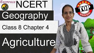 NCERT Class 8 Geography Chapter 4: Agriculture (Examrace - Dr. Manishika) | English | CBSE