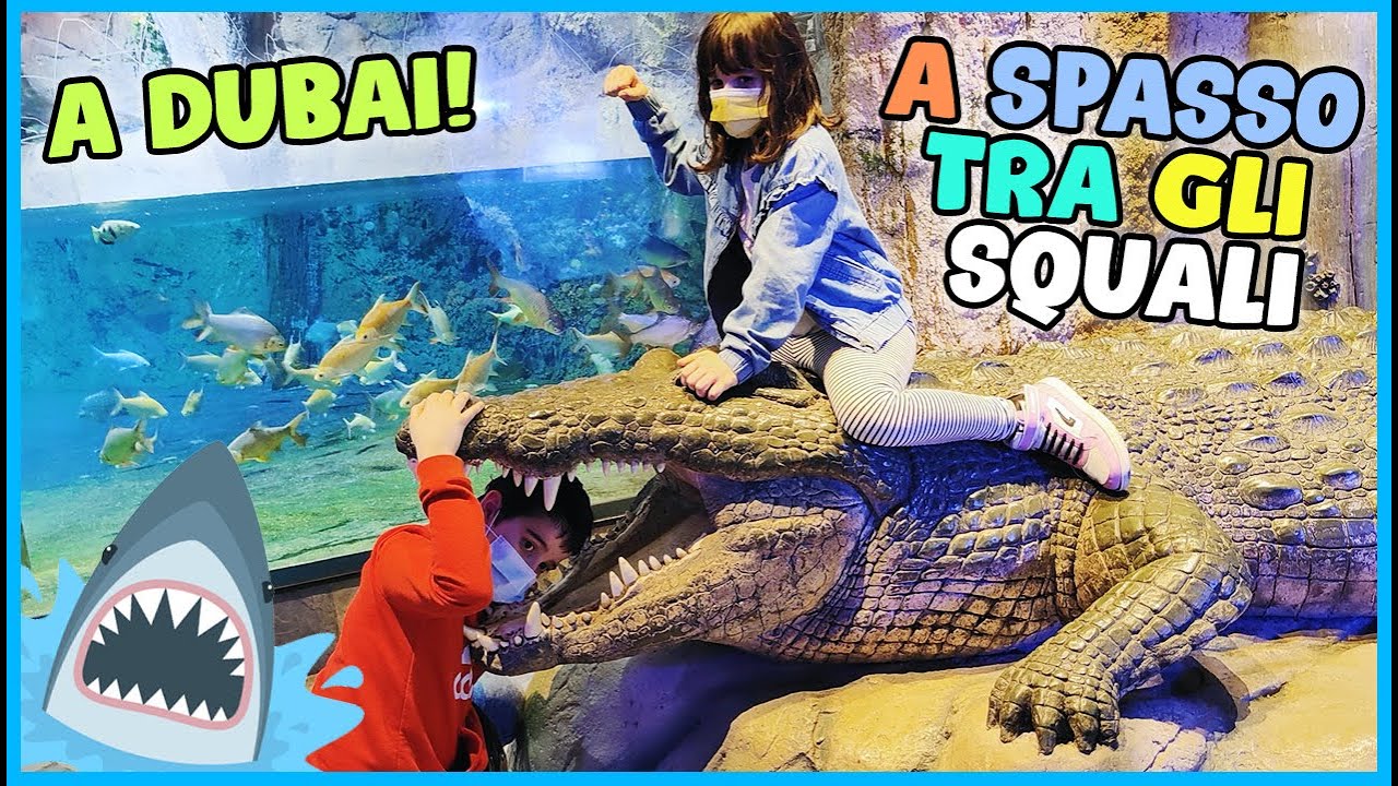 Andiamo TRA GLI SQUALI 🦈 allo ZOO SUBACQUEO di Dubai! 😱