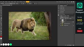 Photopea - LionArt part 1 screenshot 3