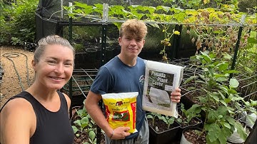 Protecting Fall Crops from Pests & Heat